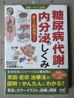 運動・からだ図解 糖尿病・代謝・内分泌のしくみ