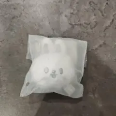 skzoo フェイスキーリング　リービット