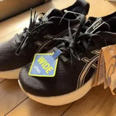 新品未使用品　　asics 　GEL-NIMBUS27 　サイズ25,0cm