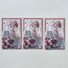 にじさんじ セラフ・ダズルガーデン ボイスビジュアルカード 2024