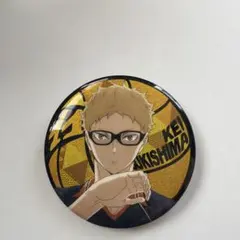 ハイキュー 月島蛍 準備 缶バッジ ガチャガチャ 裸眼 メガネ 眼鏡