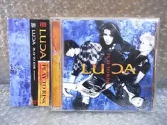 CD LUCA PLAY TO RISK サンプル盤