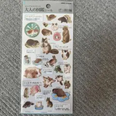 Item thumbnail for item b4cee330-e94c-44e3-be2a-f0b941de7c88