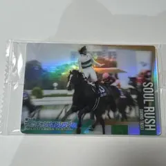 サラブレッドホースコレクション ウエハース ソウルラッシュ カード