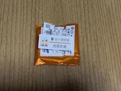 白羽大地 ときめきメモリアルGS4