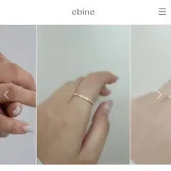 【即購入可能】ebine 2mm Full Eternity Ring 16号