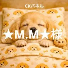 ★M.M★様確認用