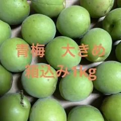 新鮮 青梅 大きめのサムネイル