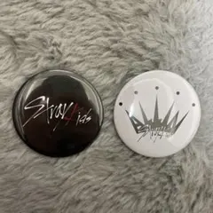 Stray kidsスキズ 缶バッジ 2個セット