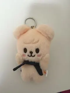 2025年最新】skz マグネットキーリングの人気アイテム - メルカリ