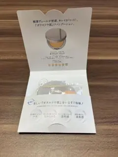 アルビオン スタジオ　タフウェア ソリッド　030