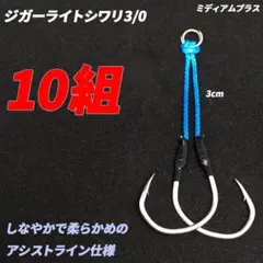 2026年最新】スロージギング ジグの人気アイテム - メルカリ