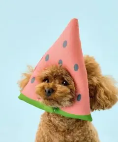 coca キッズ　シボラメシャーリング イージーパンツ　ベージュのサムネイル