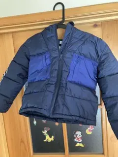 Item thumbnail for item 12cc26a1-19e3-4147-8348-dd9ed6bf64ef