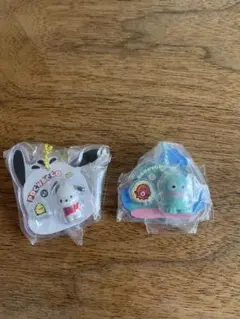 サンリオ　パッケージチャーム ポチャッコ ハンギョドン アクリルキーホルダー