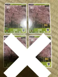 ロゲットカード 静岡県　河津町　河津桜　ロット001 2枚のサムネイル