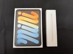 【美品・バッテリー99%】iPad mini 6 256GB スターライト