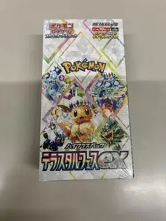 2025年最新】テラスタルフェスBOXの人気アイテム - メルカリ