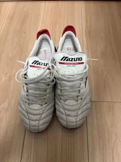 MIZUNO モレリアNEO 25.0
