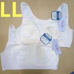 トリンプ　LL　ナイトブラ レーシィ5230　　ホワイト　2枚セット