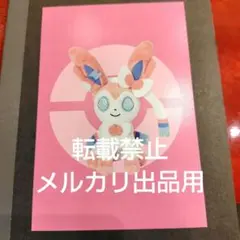 ニンフィア Pokémon fit SHOP X•Y ポケモン ポストカード