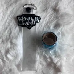 treasure ペンミ Wonderland プレミアムシート 特典