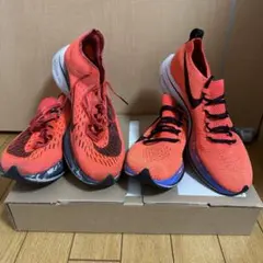 Item thumbnail for item d35ef248-77d7-470a-91c8-2ef990c0892b