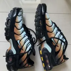 日曜特価！NIKE AIR MAX PLUS スニーカー　ナイキ　スニーカーのサムネイル