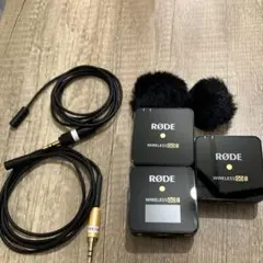 Item thumbnail for item 610d0bee-1df0-49e5-97d1-1ca004856f7d