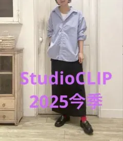 2025今季StudioCLIP イージーケアストライプシャツレギュラーサイズ