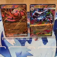 オドリドリEX & メガリザードンXEX セット