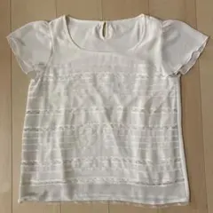 MISCH MASCH ミッシュマッシュ ブラウス 半袖