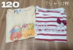 anyFAM.エニーファム☆Tシャツ　120 女の子　ボーダー　くまのがっこう