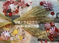 稲穂　ドライフラワー　お正月飾り　しめ縄　（100本＋おまけ）