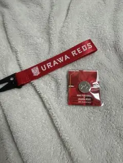 Urawa Reds 入場特典ピンバッジとストラップ