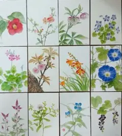 Item thumbnail for item 1e8bdc46-4e8e-4fee-96d4-8ef42f4df0d2