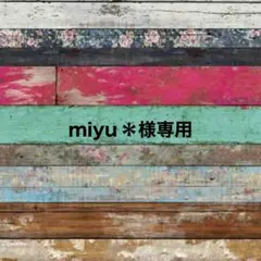 miyu＊様専用