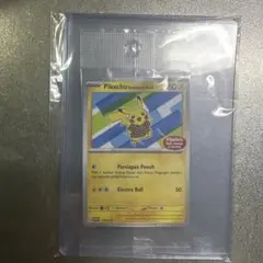 バティックシャツを着たピカチュウ (ヒトデマン柄)