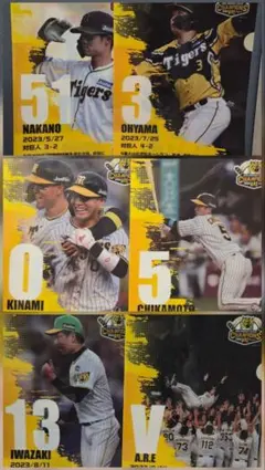 新品 阪神タイガース 80周年記念 クリアファイル 3枚セット 藤浪 上本