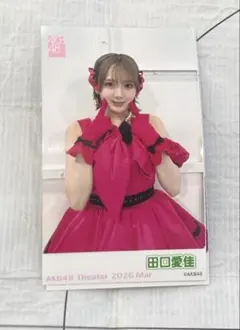 AKB48 ガラポン 3月 生写真 ミニフォト　田口愛佳