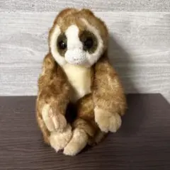 スローロリス ぬいぐるみ ブラウン