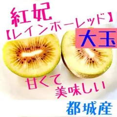 ✳️ビタミンC豊富　大玉　紅妃【レインボーレッド】　１３個