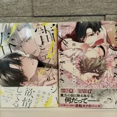 BLコミック　まとめ売り