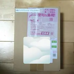 寶可夢卡牌 黑色閃電 附帶塑膠封膜完全未開封BOX