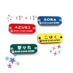 Item thumbnail for item e4b4309a-9700-4a79-9ed2-c208aec2e28d