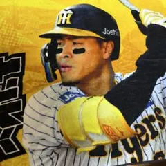 2025年最新】阪神佐藤輝明タオルの人気アイテム - メルカリ