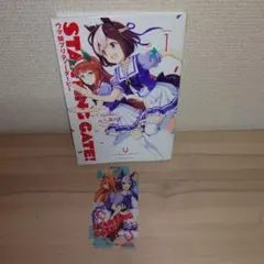 希少】ウマ娘 プリティダービー STARTING GATE!全巻 BOXセット - メルカリ