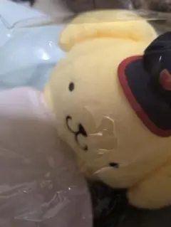 侍ジャパン　サンリオ　A賞