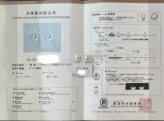 ピアス オーロラフェニックスpremium 真科研鑑別書付き - メルカリ