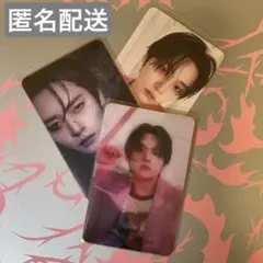 リノ IT トレカ 2枚セット 封入 黒レンチ スキズ doit